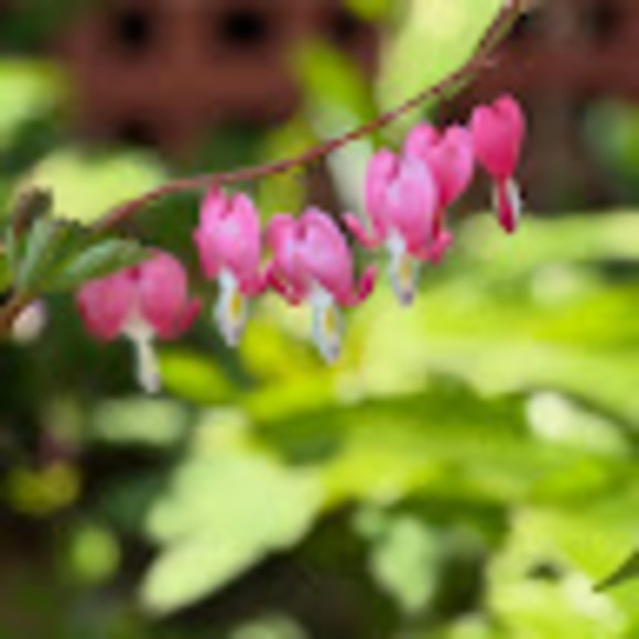 colleenmoria347